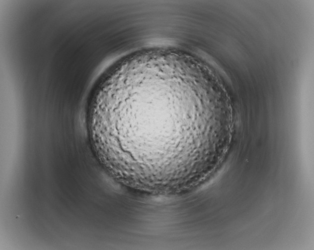 X0000113981022200910091314