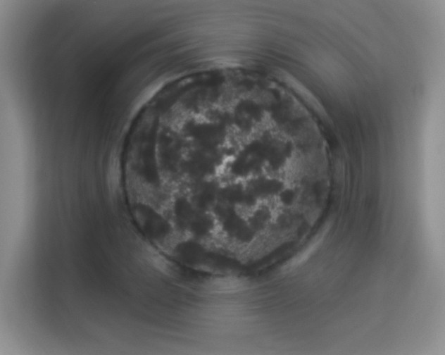 X0000113981023200910091314