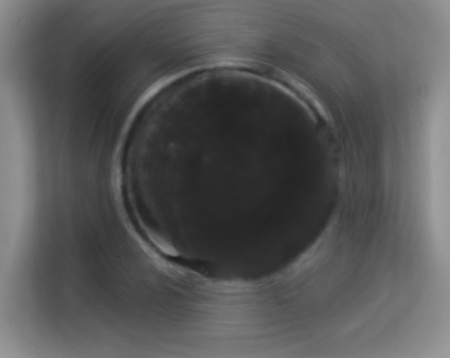 X0000113981024200910091314