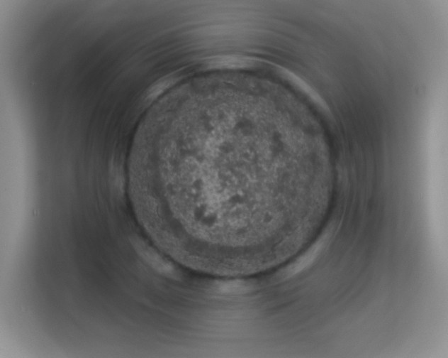 X0000113981025200910091314