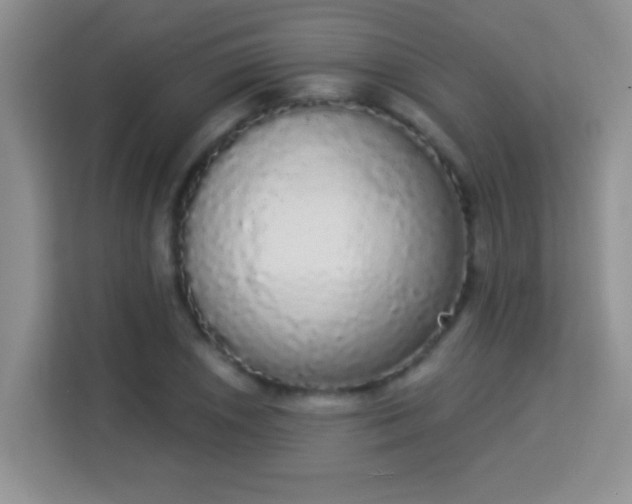 X0000113981026200910091314