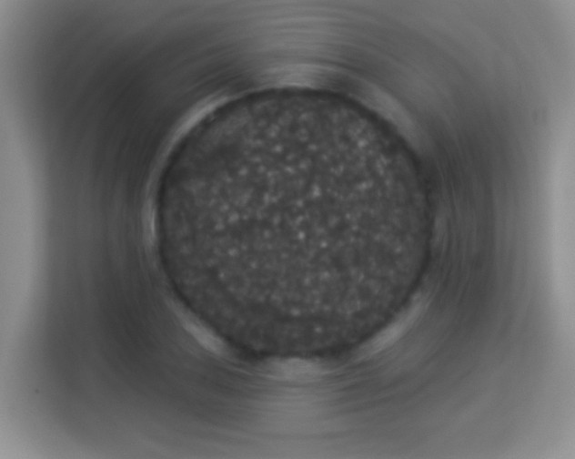 X0000113981027200910091314