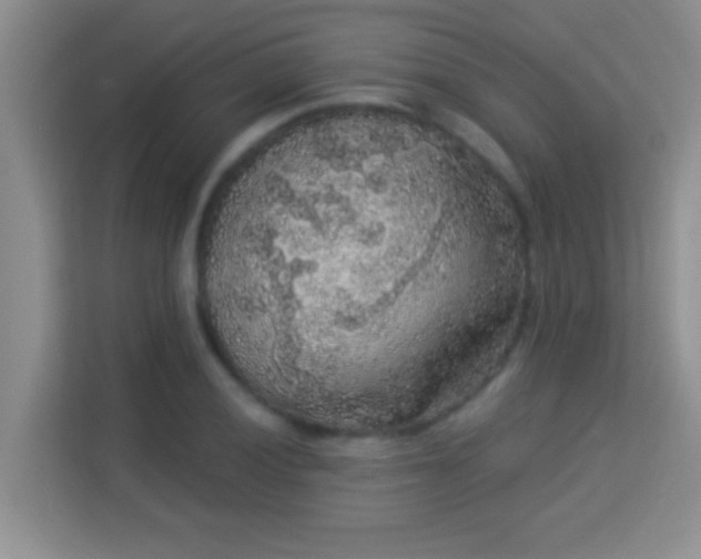 X0000113981028200910091314