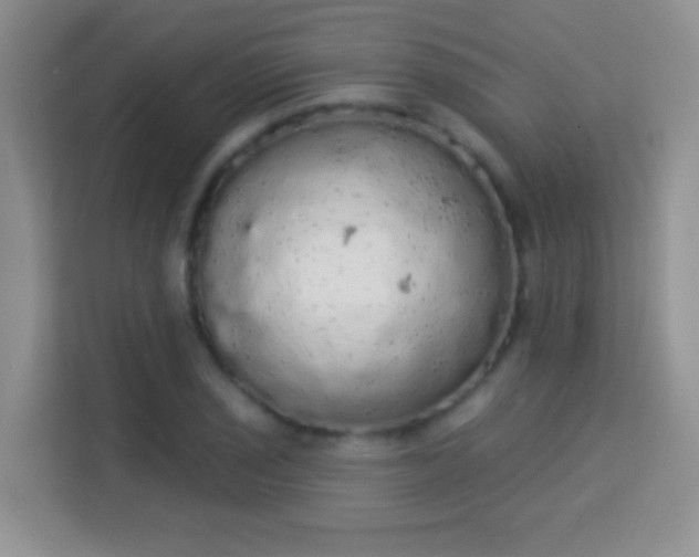 X0000113981029200910091314