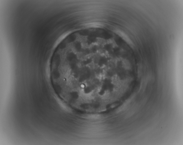 X0000113981031200910091314