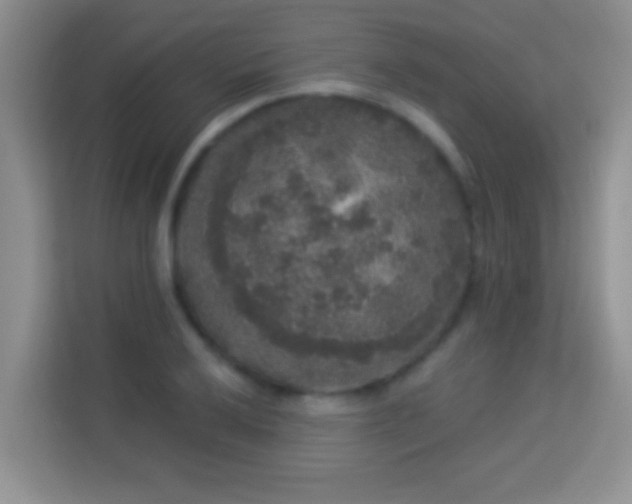 X0000113981032200910091314