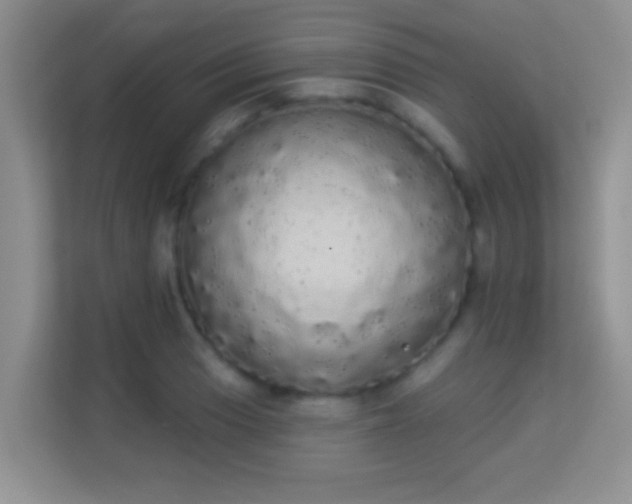 X0000113981033200910091314