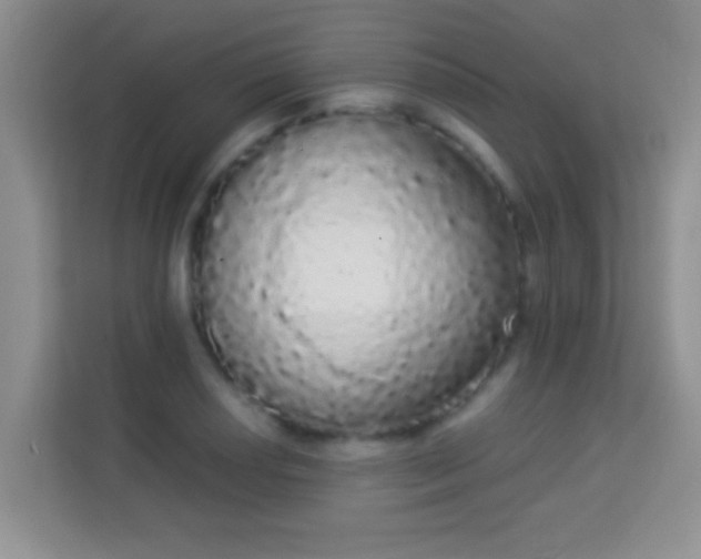 X0000113981034200910091314