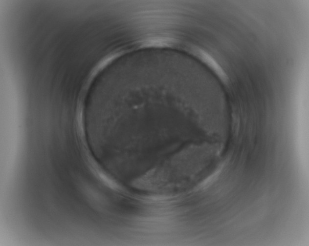 X0000113981035200910091314