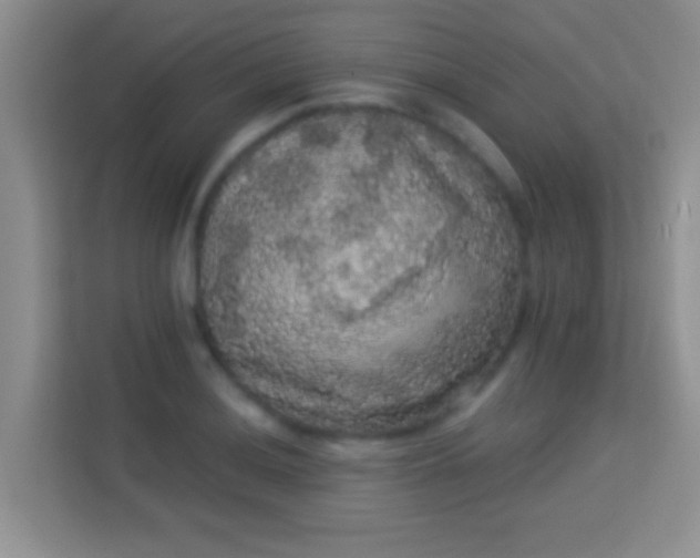 X0000113981036200910091314