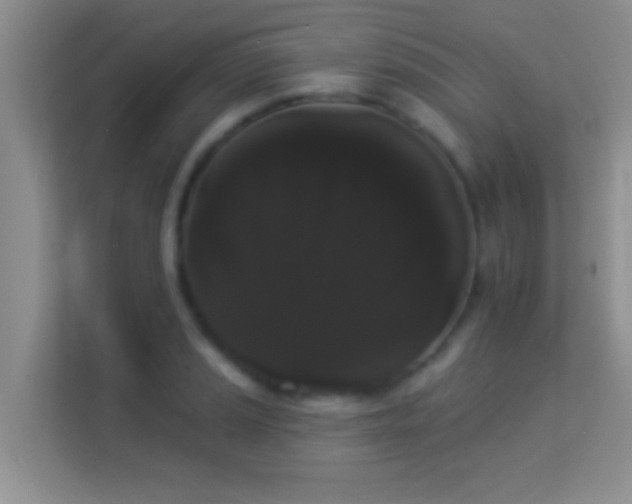 X0000113981037200910091314