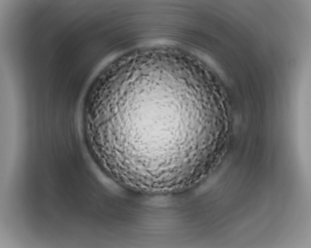 X0000113981038200910091314