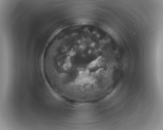 X0000113981039200910091314