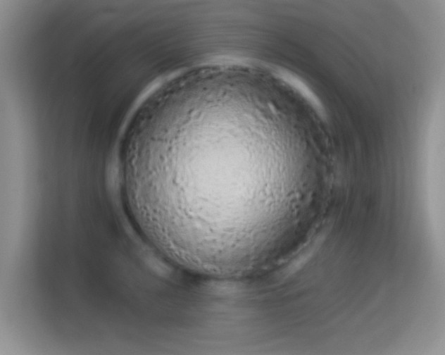 X0000113981040200910091314