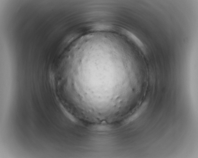 X0000113981041200910091314