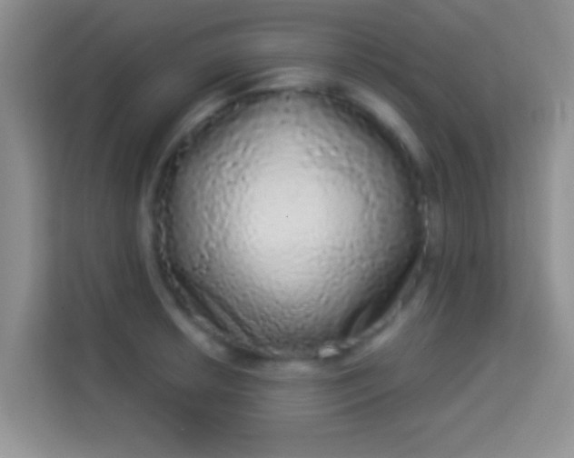 X0000113981042200910091314