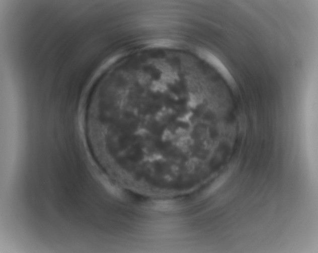 X0000113981043200910091314