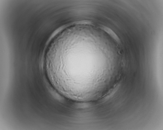 X0000113981044200910091314