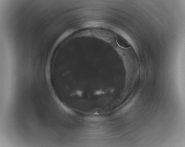 X0000113981045200910091314