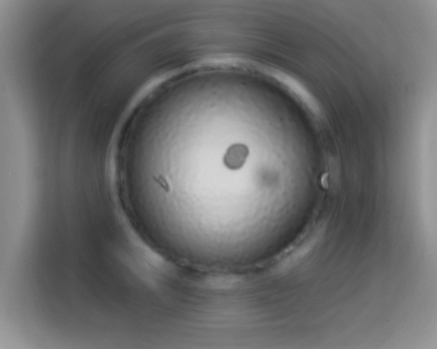 X0000113981046200910091314