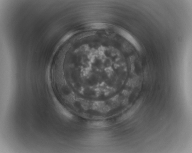 X0000113981047200910091314