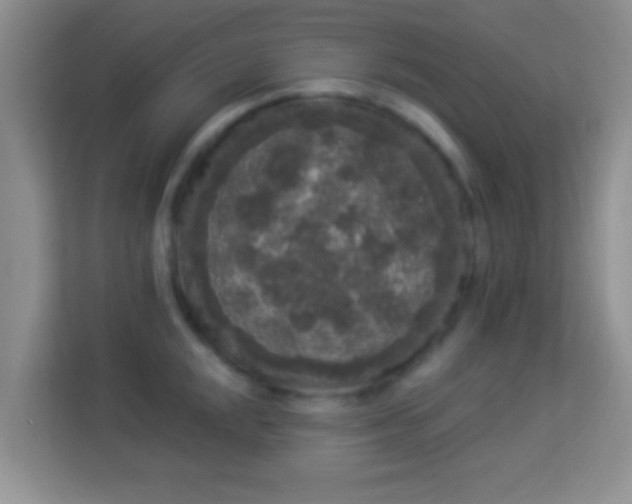 X0000113981048200910091314