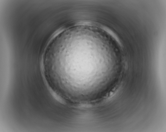 X0000113981050200910091314