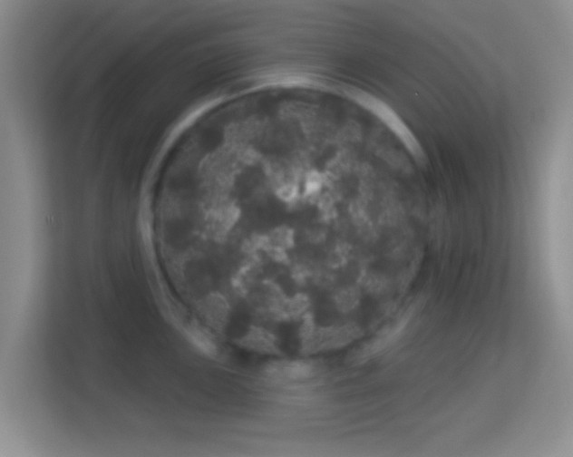 X0000113981051200910091314