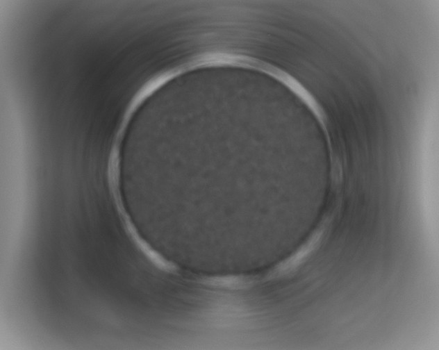 X0000113981053200910091314