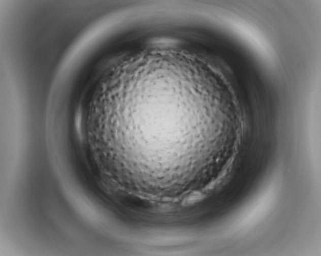 X0000113981054200910091314