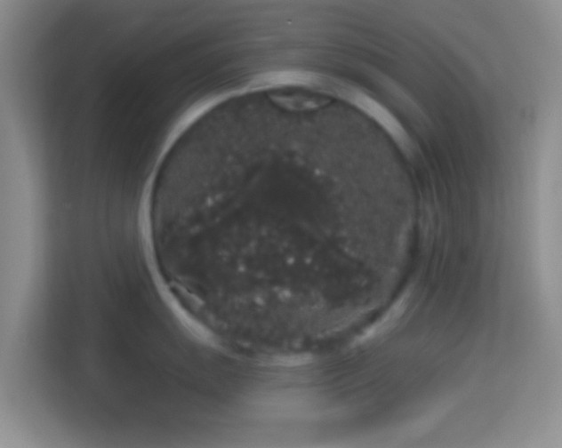 X0000113981055200910091314