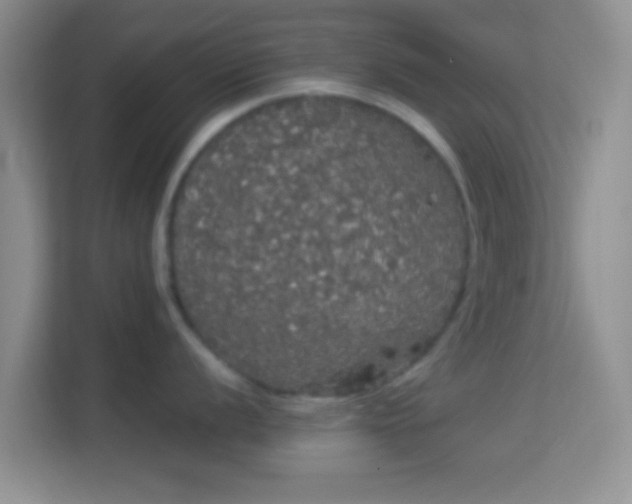 X0000113981056200910091314