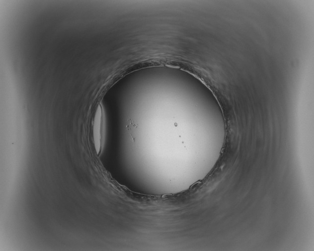 X0000113981057200910091313