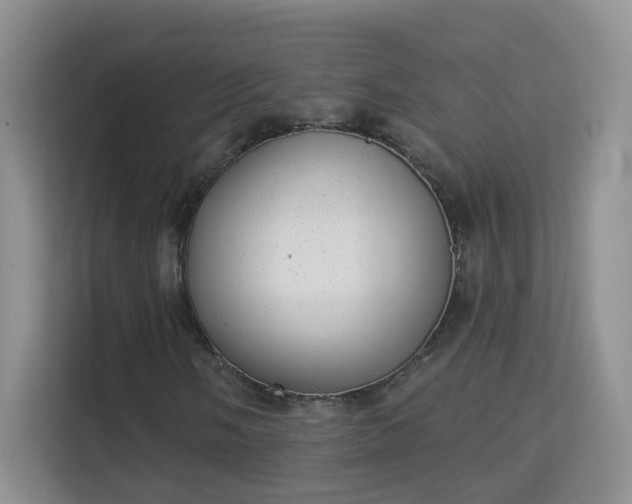 X0000113981058200910091313