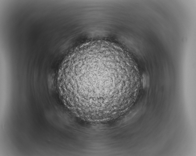 X0000113981059200910091313