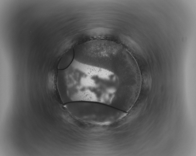 X0000113981060200910091313