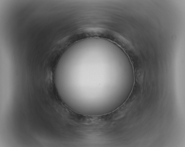 X0000113981061200910091313