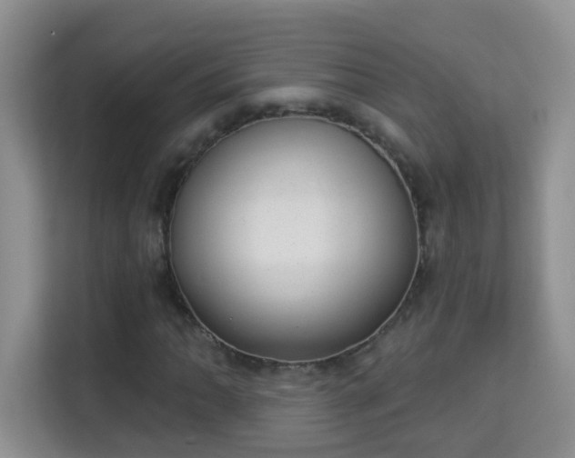 X0000113981062200910091313