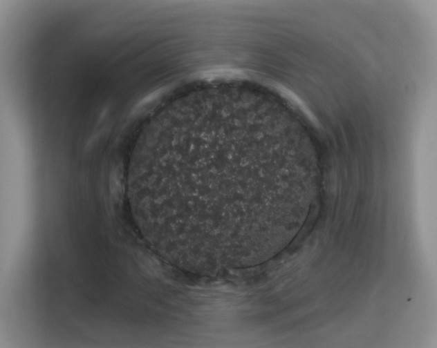 X0000113981063200910091313