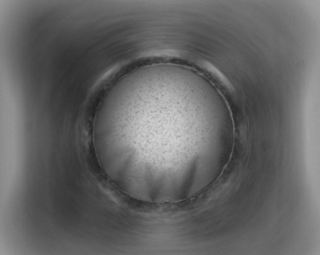 X0000113981064200910091313