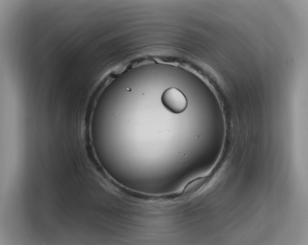 X0000113981065200910091313