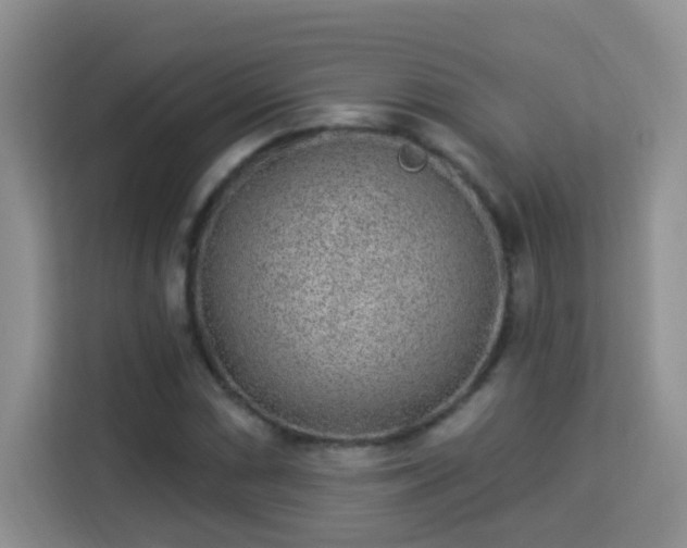 X0000113981066200910091313