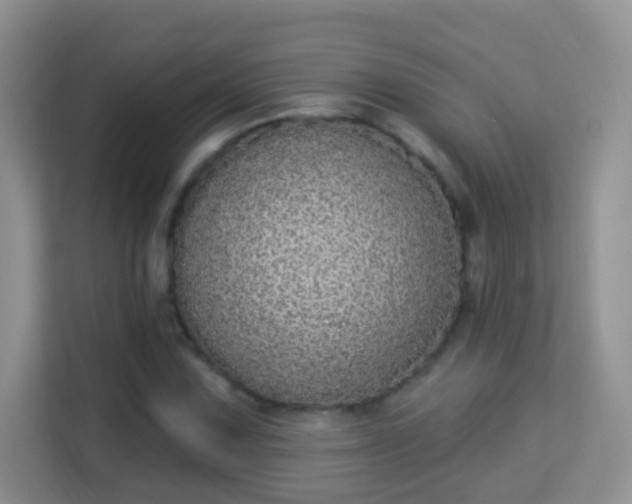 X0000113981067200910091313