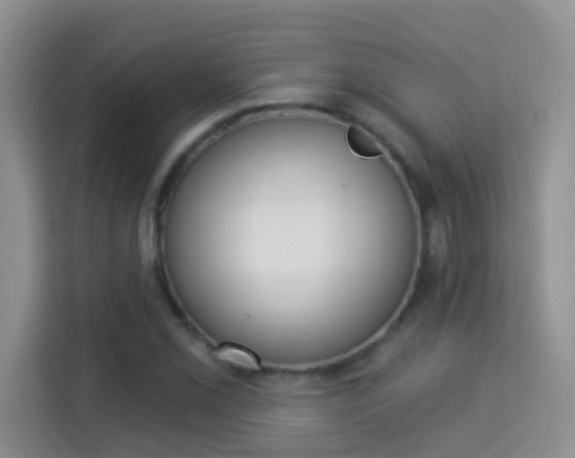 X0000113981069200910091313