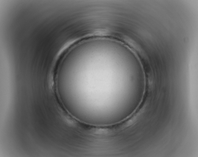 X0000113981070200910091313