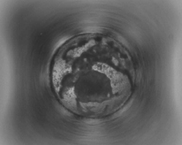 X0000113981071200910091313