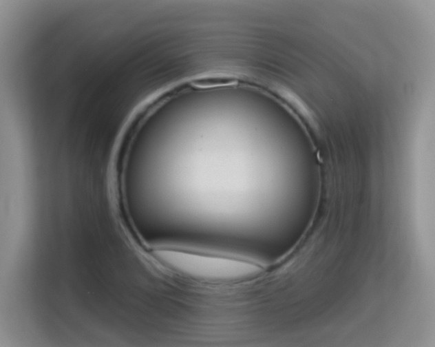 X0000113981072200910091313