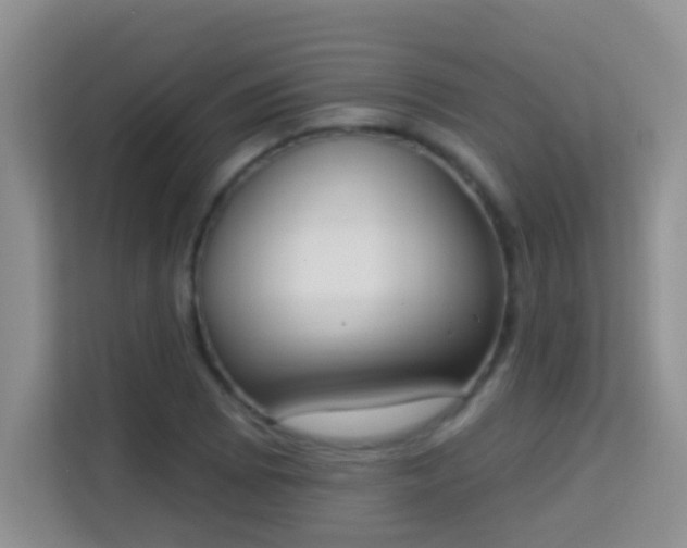 X0000113981073200910091313