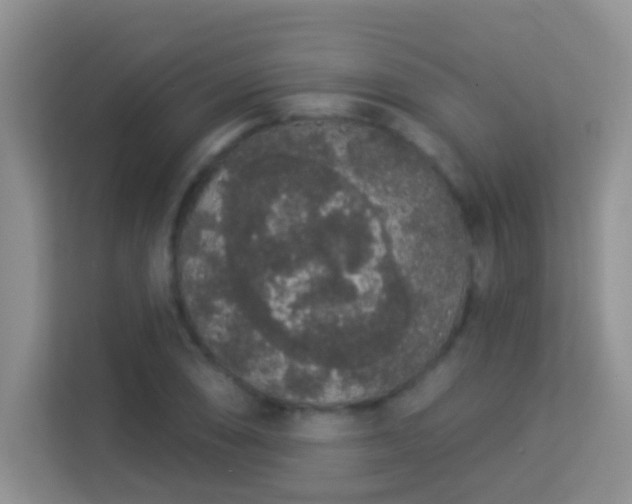 X0000113981074200910091313