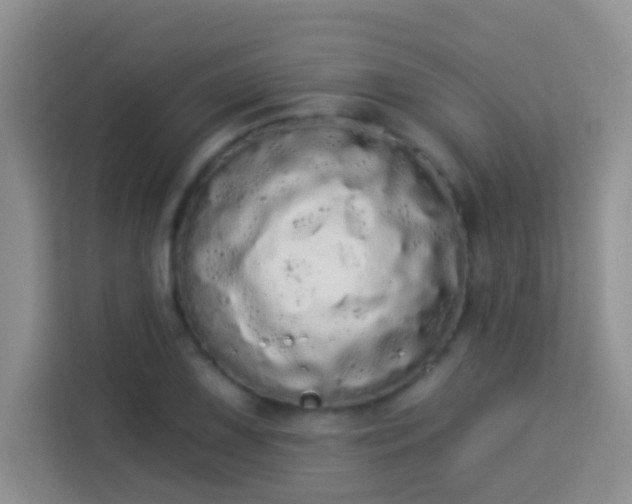 X0000113981075200910091313